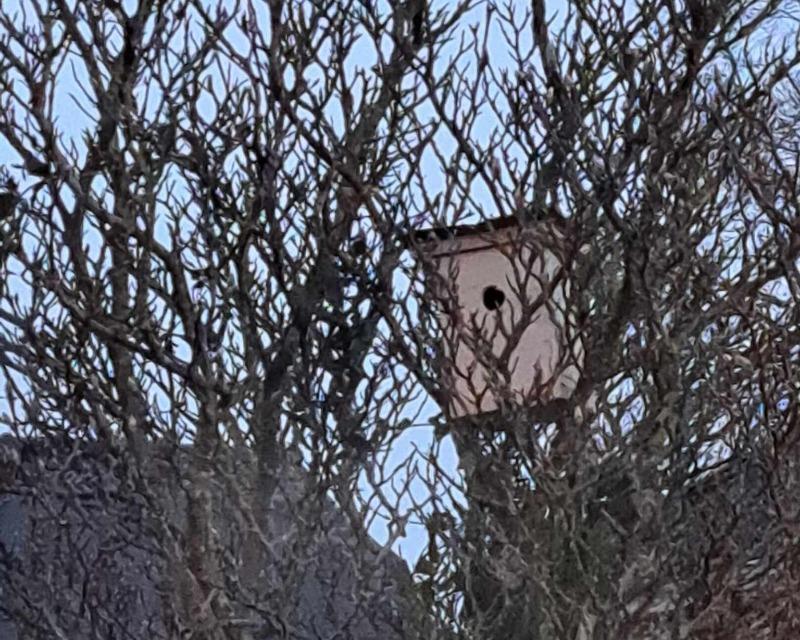 Accueil de la faune